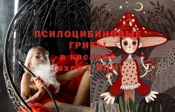 герыч Бронницы