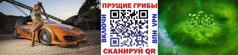 где купить наркоту Печоры Псилоцибиновые грибы мухоморы