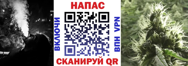 Бошки Шишки сатива  ссылка на мегу зеркало  Печоры 